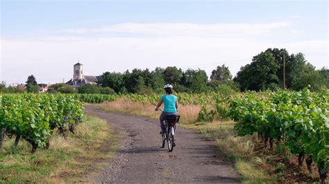 Balade Dans Le Vignoble Nantais En V Lo Un Circuit Entre S Vre Et