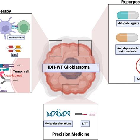 Overview Of Emerging Treatment Options For Idh Wildtype Glioblastomas