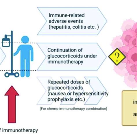 Challenge of glucocorticoid therapy in patients receiving immunotherapy ...