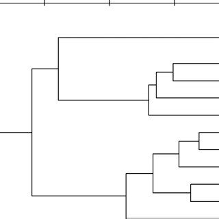 UPGMA Dendrogram Illustrating The Genetic Relationships Among 12