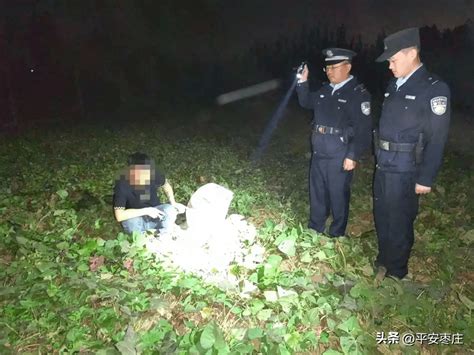 偷薯贼夜遇巡逻民警被抓获 地瓜 朱某奇 滕州市