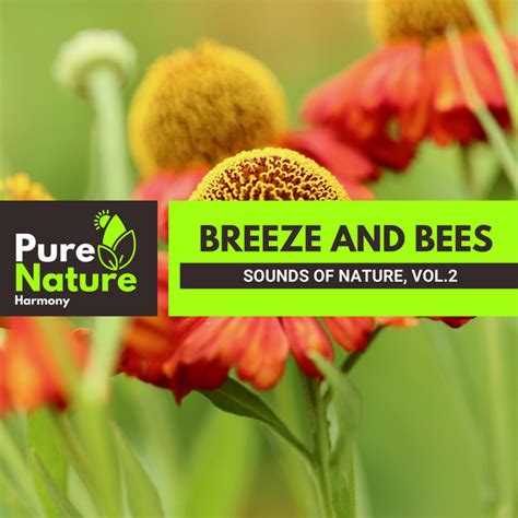 Breeze And Bees Sounds Of Nature Vol 2 Compilation By Various