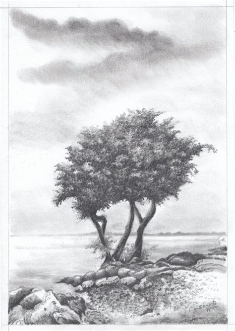 Charcoal Art Tree