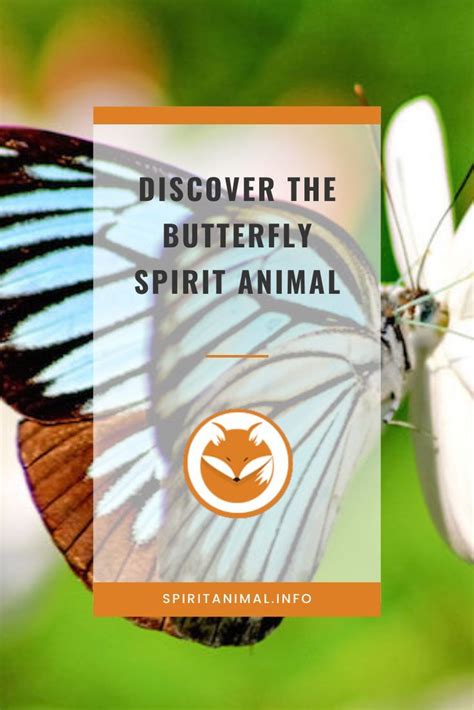 Discover the Meaning of the Butterfly Spirit Animal