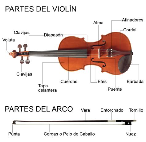 Todo Viol N Partes Del Viol N Y Arco