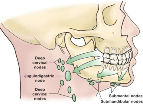 NURS 314 Unit 3 Chapter 22 Neurological Assessment NURS 314 Unit 3