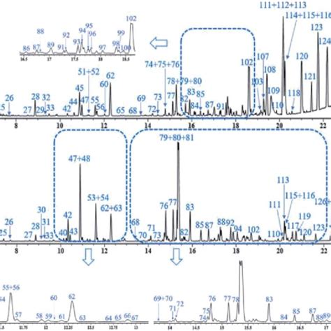 The Representative Base Peak Chromatograms Bpcs Of Dzt Both In Download Scientific Diagram