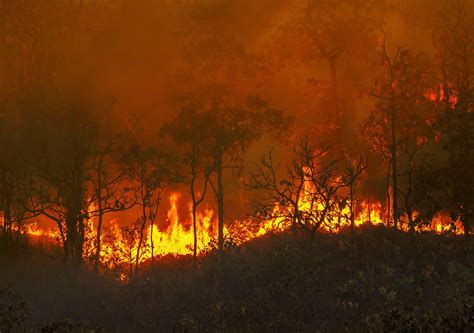 Incendios Forestales En Corrientes Los Esteros Del Iberá Arden Otra Vez