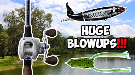 Insane Topwater Bass Fishing Big Topwater Bass Fishing Blowups