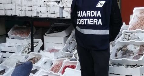 Falciano Del Massico Guardia Costiera Sequestra Prodotti Ittici Al