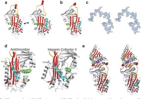 Figure From Crystal Structures Of Native And Thrombin Complexed