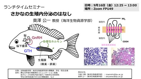 海洋生物資源学部 ランチタイムセミナー「さかなの生殖内分泌のはなし」｜ 福井県立大学