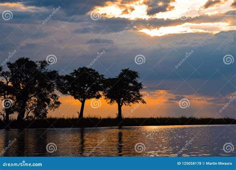 Sunset Cruise at Chobe River, Botswana Stock Photo - Image of national ...