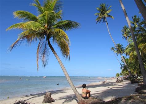 Tem Que Ir Tudo Sobre A Praia Dos Carneiros Tamandar Pe