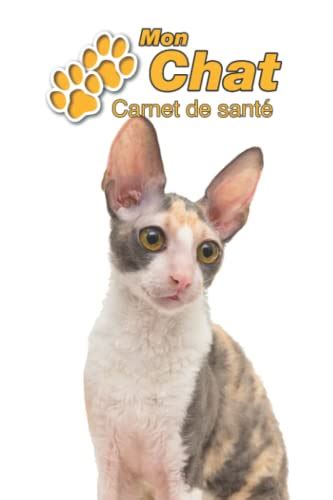 Cornish Rex Pris Arteme