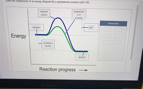 Solved Label The Components Of An Energy Diagram For A Chegg