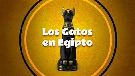 ¿por Qué Los Gatos Eran Sagrados En Egipto