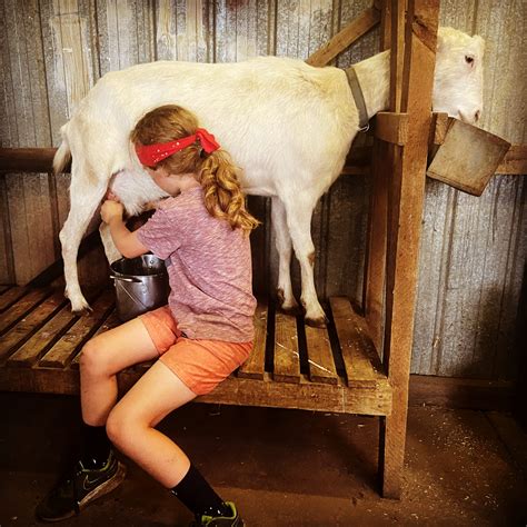 How to involve kids in farming - The Calmer Farmer