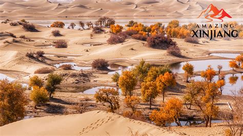 Watch: Crossing China's largest desert - the Taklamakan Desert - CGTN