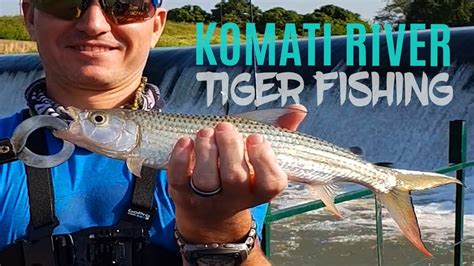 Tiger Fishing In The Komati River South Africa Apr 2019 YouTube