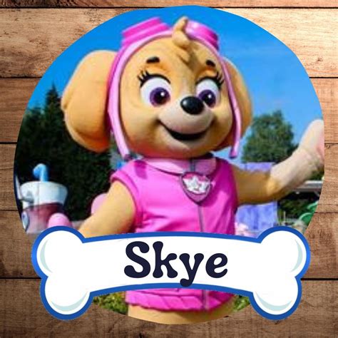 Paw Patrol Meet Skye Atelier Yuwa Ciao Jp