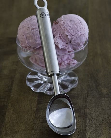 Rösle Ice Cream Scoop Williams Sonoma