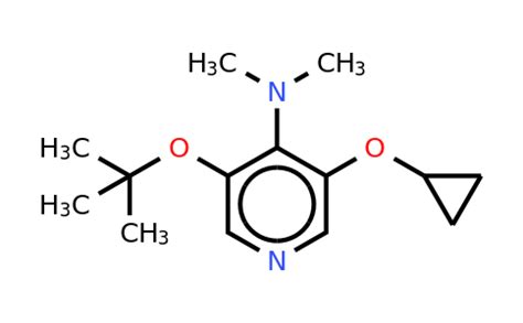 Cas Tert Butoxy Cyclopropoxy N N Dimethylpyridin