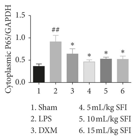 Sfi Inhibits The Translocation Of Hmgb1 And P65 Between The Nuclei And