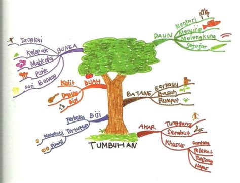 Detail Contoh Mind Mapping Ipa Koleksi Nomer 19