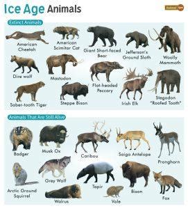 Ice Age Animals – Facts, List, Pictures