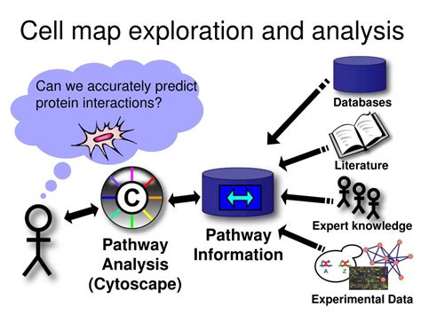 PPT Predicting PDZ Domain Protein Protein Interactions From The