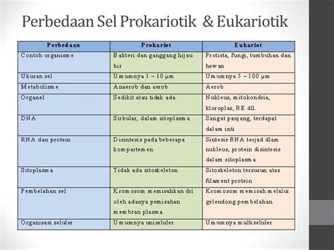 Detail Gambar Sel Prokariotik Dan Eukariotik Sel Prokariotik Koleksi ...