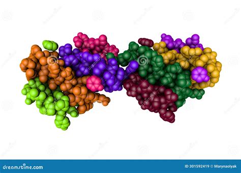 Human Insulin Space Filling Molecular Model Rendering With