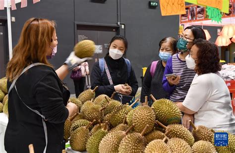 特写：冬日的香港美食之旅荔枝网新闻