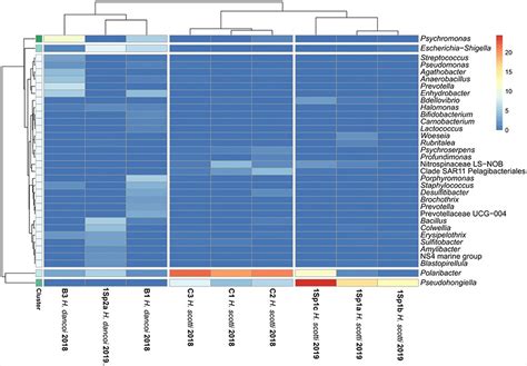 Frontiers Chemical And Microbiological Insights Into Two Littoral