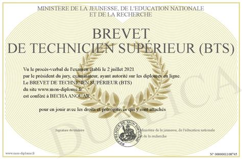 Brevet De Technicien Sup Rieur Bts