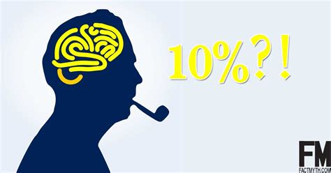 We Only Use 10 Of Our Brain Fact Or Myth