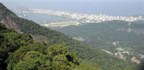 Projeto da Fiocruz vai restaurar área da Mata Atlântica no Rio de