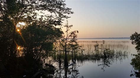 Lake Waccamaw Campground, Lake Waccamaw, NC: 1 Hipcamper Review And 5 Photos