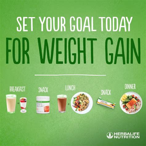 Herbalife Gain Weight Meal Plan Blog Dandk