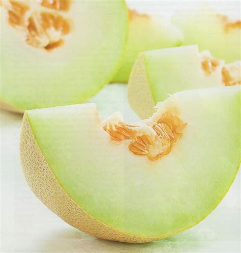 Warehousehealthy.blogspot.com: Benefits Of Melon Fruit