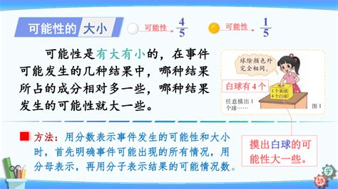 总复习 统计与概率 可能性课件（19张ppt 北师大版小学六年级下册数学 21世纪教育网