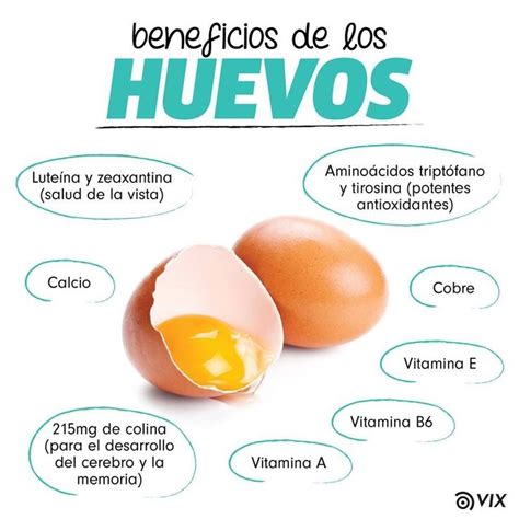 Beneficios De Los Huevos Beneficios De Alimentos Frutas Y Verduras