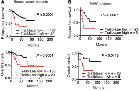 The Elevated Expression Of Genes Required For Trailblazer Cell Invasion