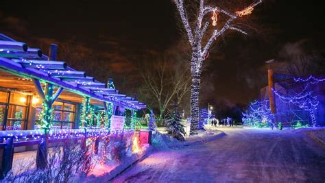 Zoolights returns to Calgary Zoo for 2016 holiday season | Daily Hive ...