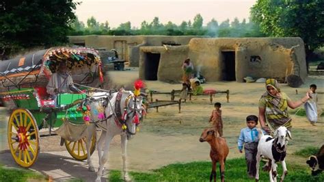 Ancient Village Life Pakistan Traditional Village Life In Punjab