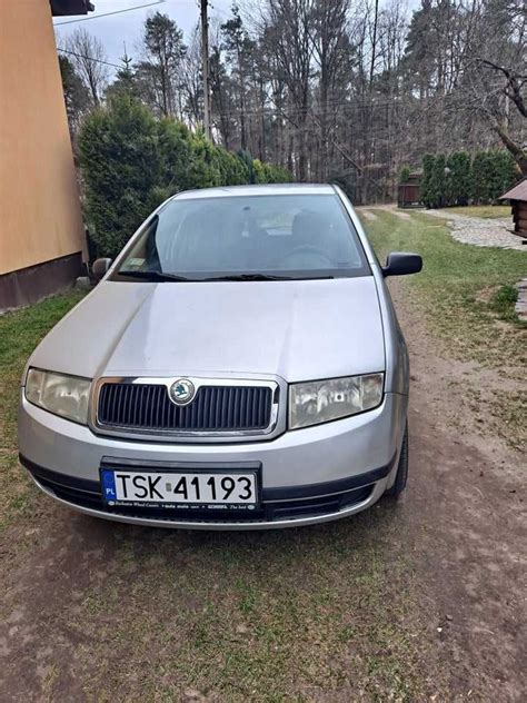 Skoda Fabia Benzyna Skar Ysko Kamienna Olx Pl