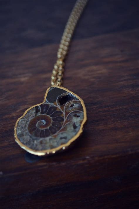 ANCIENT TALISMAN Ammonite Fossil Necklace Etsy In 2024