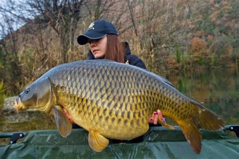 catch reports carp fishing france: The history of Carp Fishing in France