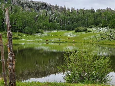 Ute Lodge Campground Reviews Meeker Co